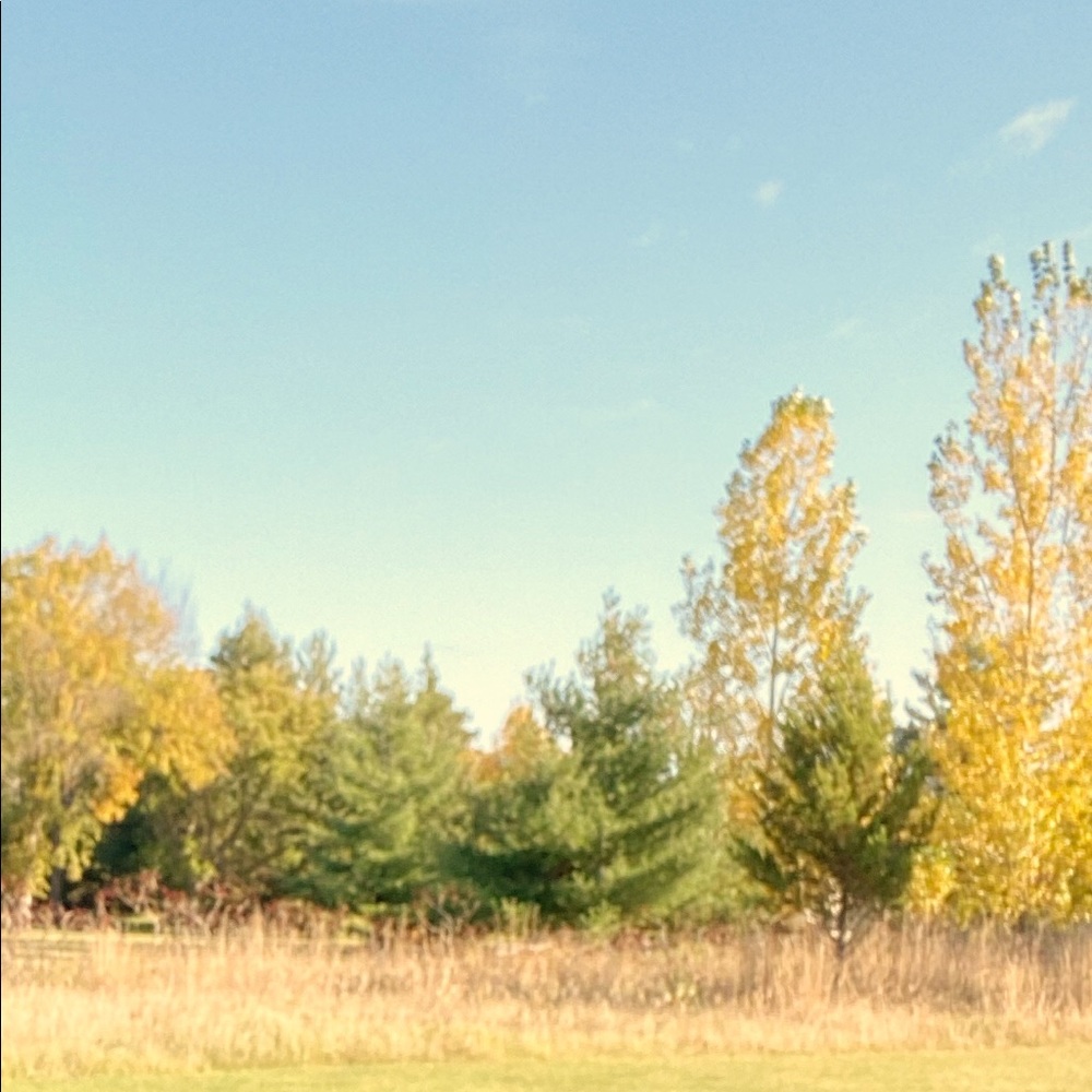 Meet your Posher, Madds